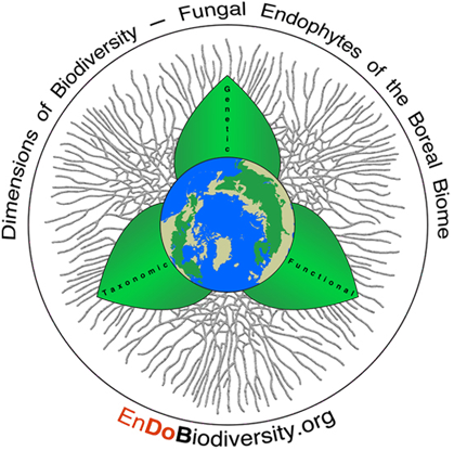 Endobiodiversity