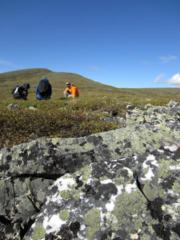 Alaska fieldwork complete! August 2011